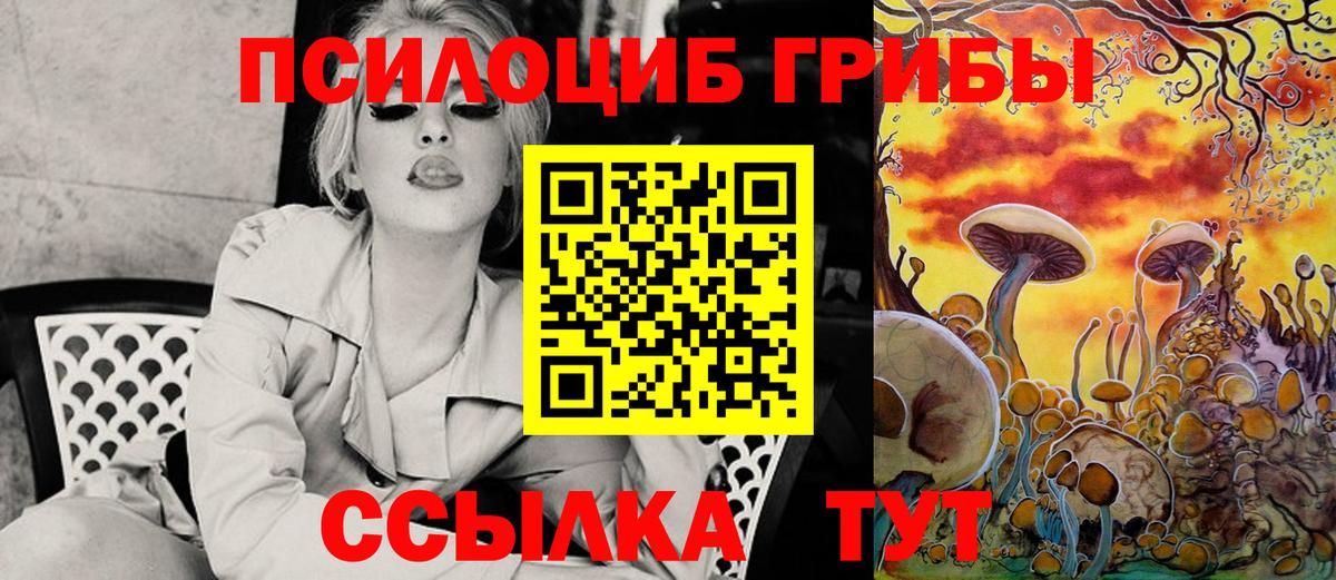 Псилоцибиновые грибы Magic Shrooms  Псилоцибиновые грибы ЛСД  Морозовск  закладки  Вход с VPN 